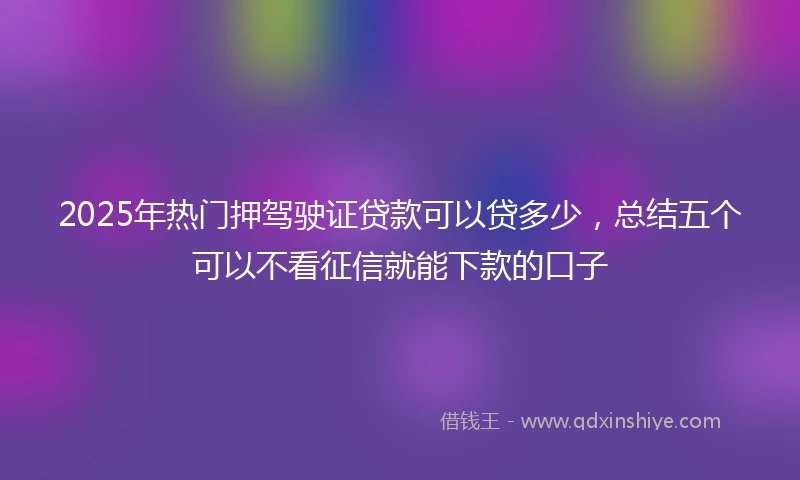 2025年热门押驾驶证贷款可以贷多少，总结五个可以不看征信就能下款的口子