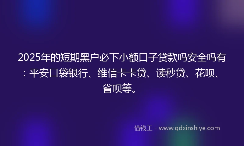 2025年的短期黑户必下小额口子贷款吗安全吗有：平安口袋银行、维信卡卡贷、读秒贷、花呗、省呗等。