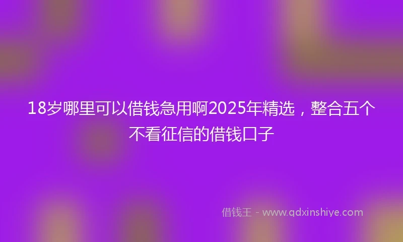 18岁哪里可以借钱急用啊2025年精选，整合五个不看征信的借钱口子