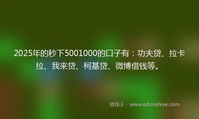 2025年的秒下5001000的口子有：功夫贷、拉卡拉、我来贷、柯基贷、微博借钱等。
