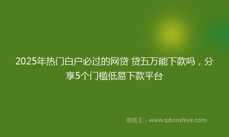 2025年热门白户必过的网贷 贷五万能下款吗，分享5个门槛低易下款平台