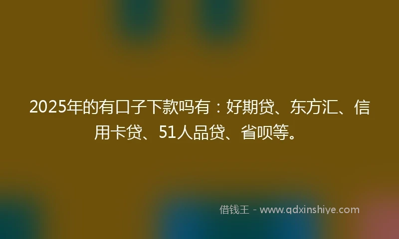 2025年的有口子下款吗有：好期贷、东方汇、信用卡贷、51人品贷、省呗等。