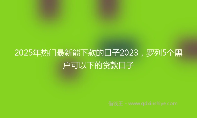 2025年热门最新能下款的口子2023，罗列5个黑户可以下的贷款口子