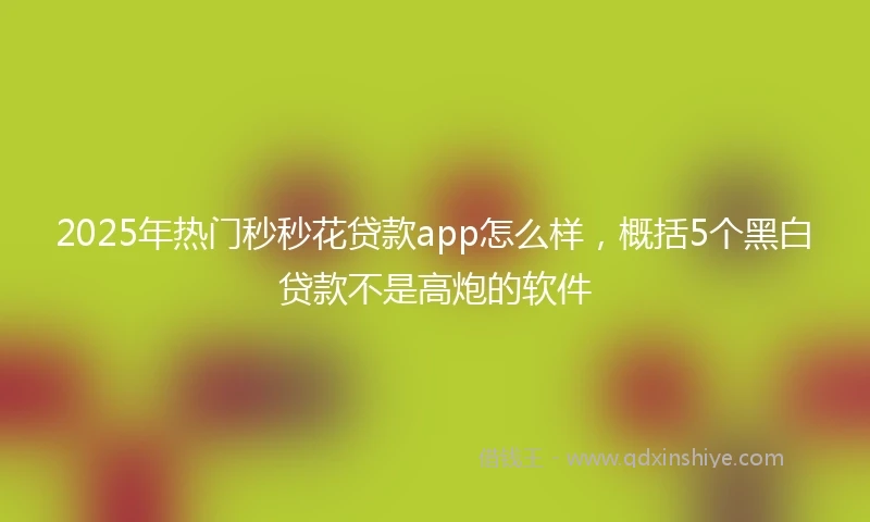 2025年热门秒秒花贷款app怎么样，概括5个黑白贷款不是高炮的软件