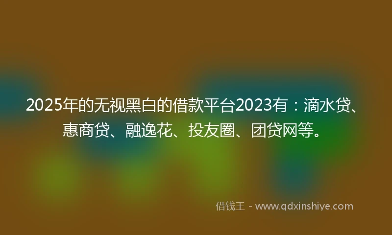 2025年的无视黑白的借款平台2023有：滴水贷、惠商贷、融逸花、投友圈、团贷网等。