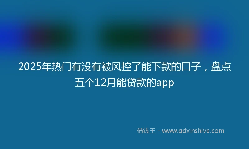 2025年热门有没有被风控了能下款的口子，盘点五个12月能贷款的app