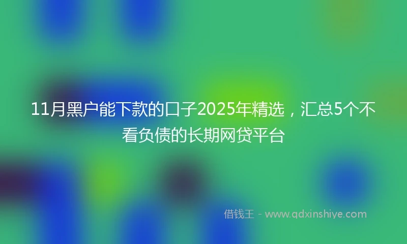 11月黑户能下款的口子2025年精选，汇总5个不看负债的长期网贷平台