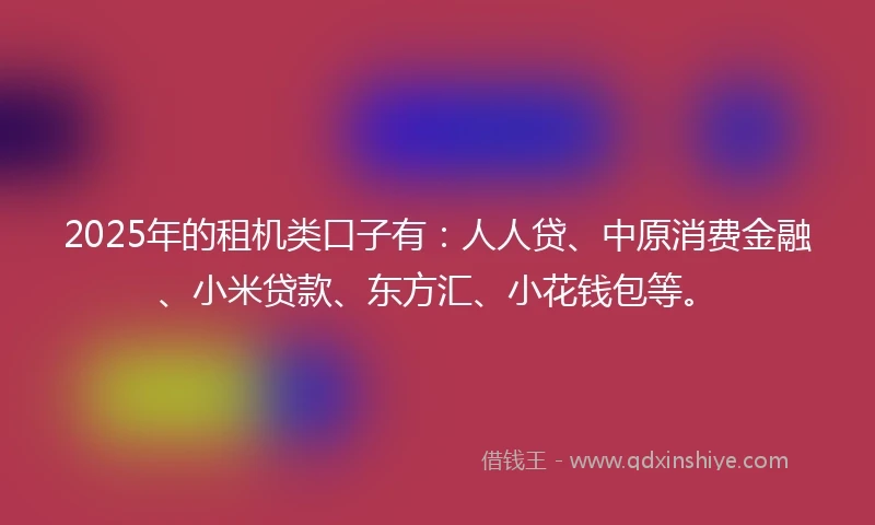 2025年的租机类口子有：人人贷、中原消费金融、小米贷款、东方汇、小花钱包等。