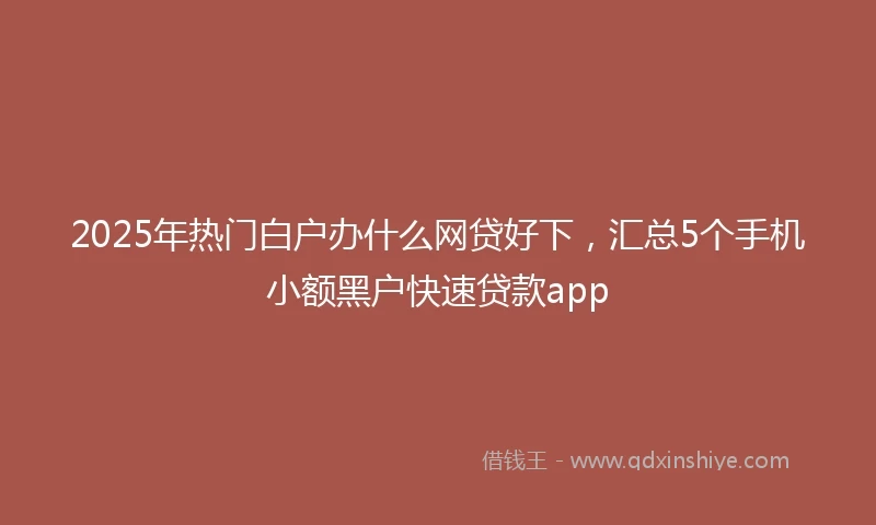 2025年热门白户办什么网贷好下，汇总5个手机小额黑户快速贷款app