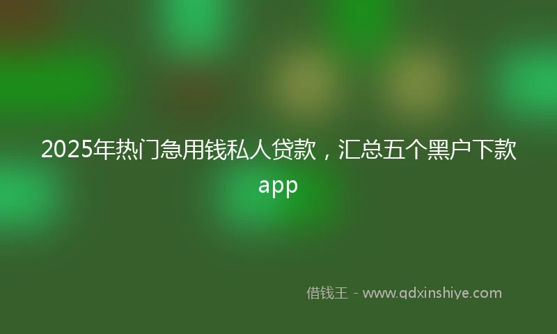 2025年热门急用钱私人贷款，汇总五个黑户下款app
