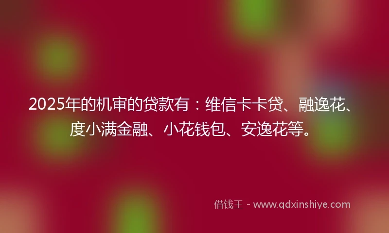 2025年的机审的贷款有：维信卡卡贷、融逸花、度小满金融、小花钱包、安逸花等。