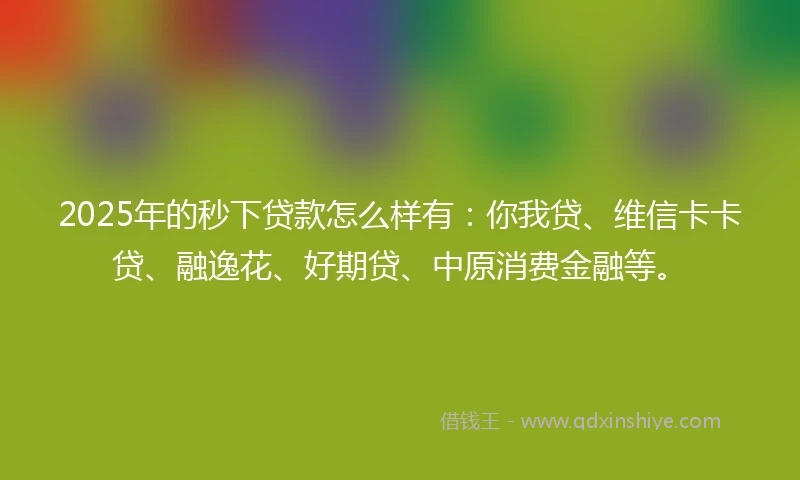 2025年的秒下贷款怎么样有：你我贷、维信卡卡贷、融逸花、好期贷、中原消费金融等。