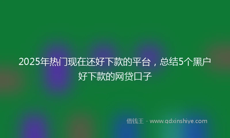 2025年热门现在还好下款的平台，总结5个黑户好下款的网贷口子