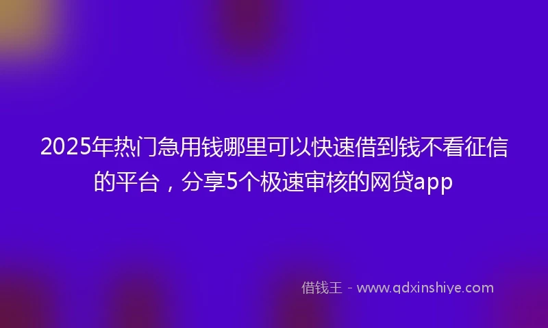 2025年热门急用钱哪里可以快速借到钱不看征信的平台，分享5个极速审核的网贷app