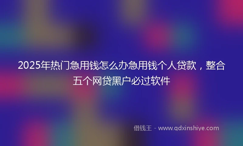 2025年热门急用钱怎么办急用钱个人贷款，整合五个网贷黑户必过软件