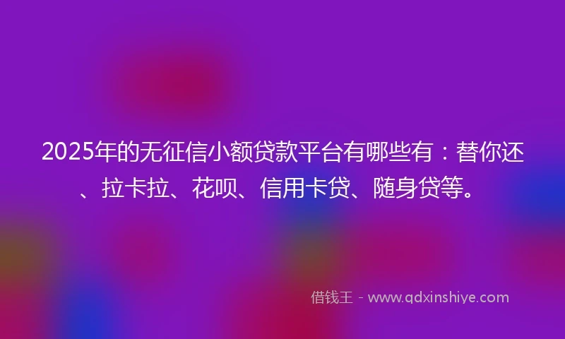 2025年的无征信小额贷款平台有哪些有：替你还、拉卡拉、花呗、信用卡贷、随身贷等。