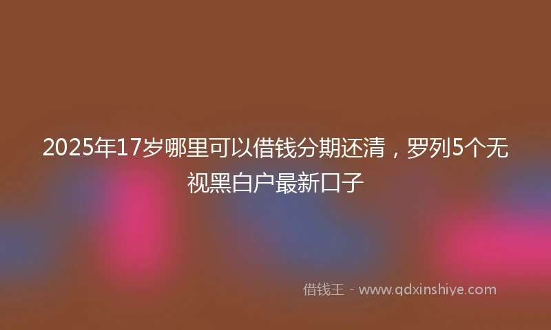 2025年17岁哪里可以借钱分期还清，罗列5个无视黑白户最新口子