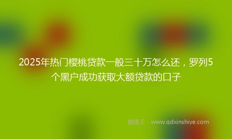 2025年热门樱桃贷款一般三十万怎么还，罗列5个黑户成功获取大额贷款的口子
