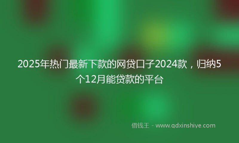 2025年热门最新下款的网贷口子2024款，归纳5个12月能贷款的平台