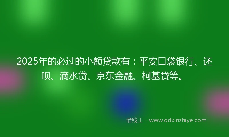 2025年的必过的小额贷款有：平安口袋银行、还呗、滴水贷、京东金融、柯基贷等。