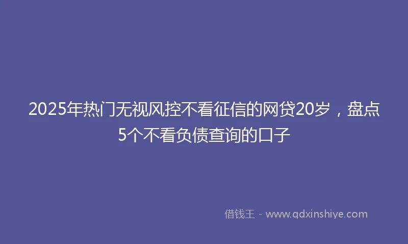 2025年热门无视风控不看征信的网贷20岁，盘点5个不看负债查询的口子