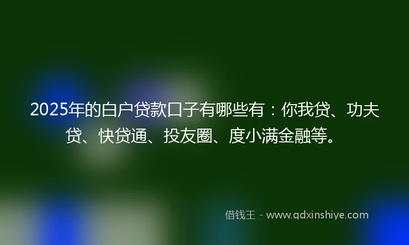 2025年的白户贷款口子有哪些有：你我贷、功夫贷、快贷通、投友圈、度小满金融等。