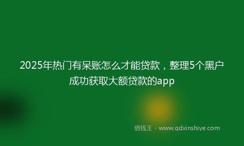 2025年热门有呆账怎么才能贷款，整理5个黑户成功获取大额贷款的app