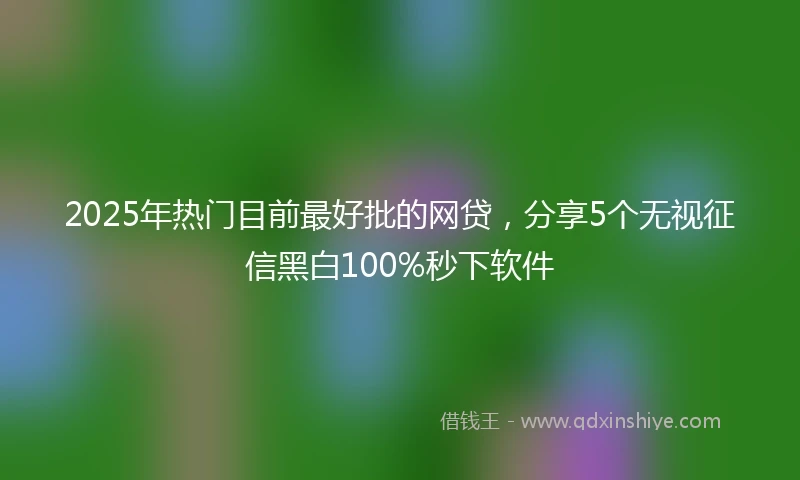 2025年热门目前最好批的网贷,分享5个无视征信黑白100%秒下软件