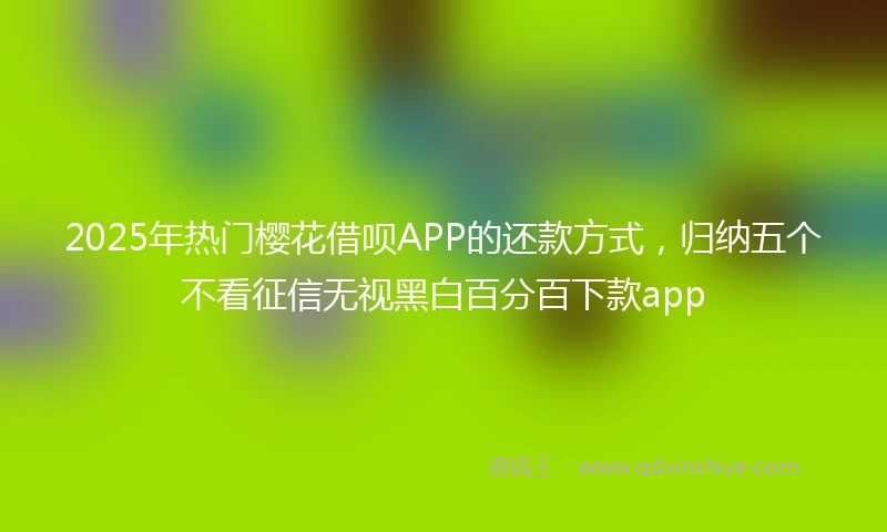 2025年热门樱花借呗APP的还款方式，归纳五个不看征信无视黑白百分百下款app