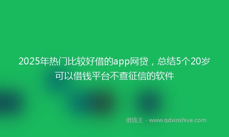2025年热门比较好借的app网贷，总结5个20岁可以借钱平台不查征信的软件