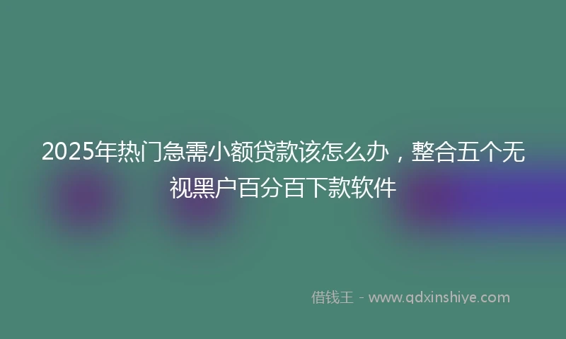 2025年热门急需小额贷款该怎么办，整合五个无视黑户百分百下款软件