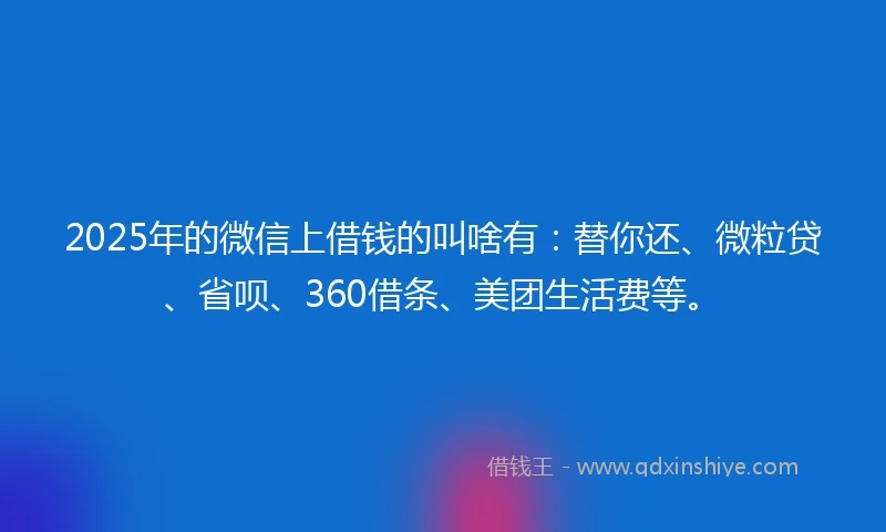 2025年的微信上借钱的叫啥有：替你还、微粒贷、省呗、360借条、美团生活费等。