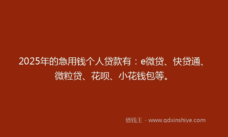 2025年的急用钱个人贷款有：e微贷、快贷通、微粒贷、花呗、小花钱包等。