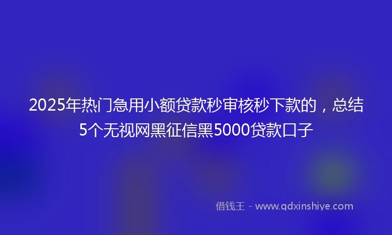 2025年热门急用小额贷款秒审核秒下款的，总结5个无视网黑征信黑5000贷款口子