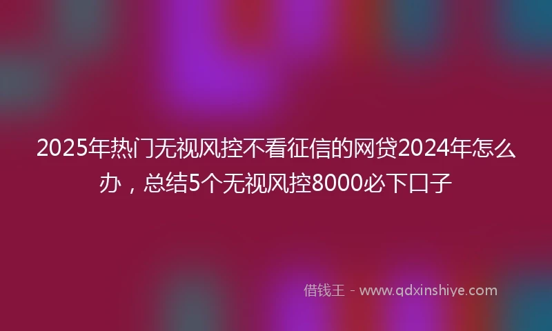 2025年热门无视风控不看征信的网贷2024年怎么办，总结5个无视风控8000必下口子