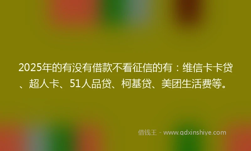 2025年的有没有借款不看征信的有：维信卡卡贷、超人卡、51人品贷、柯基贷、美团生活费等。
