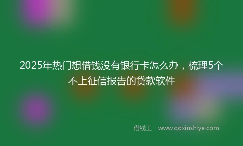 2025年热门想借钱没有银行卡怎么办，梳理5个不上征信报告的贷款软件