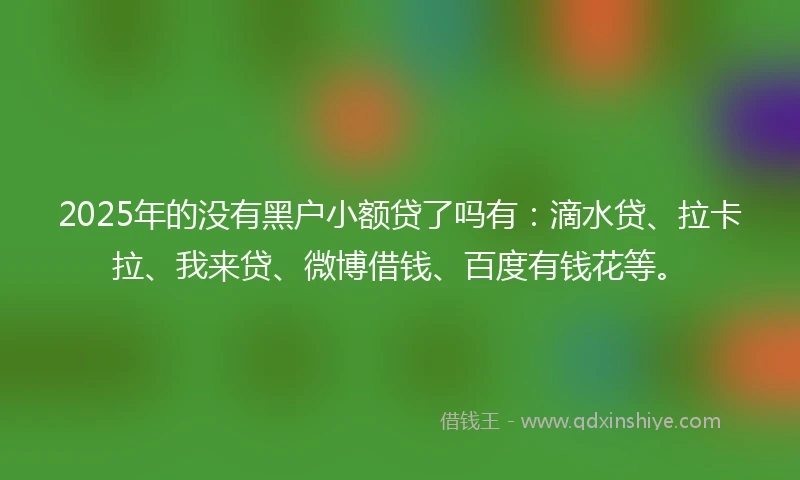 2025年的没有黑户小额贷了吗有：滴水贷、拉卡拉、我来贷、微博借钱、百度有钱花等。