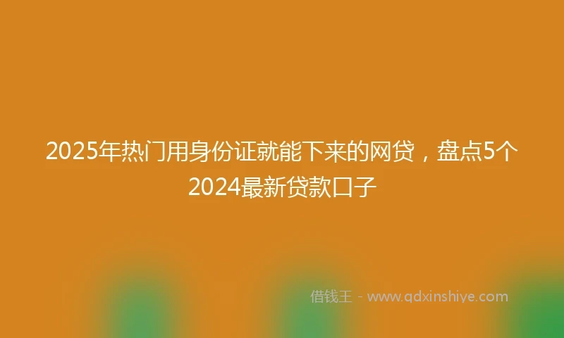 2025年热门用身份证就能下来的网贷，盘点5个2024最新贷款口子