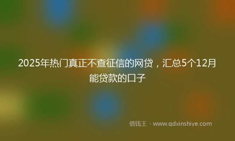 2025年热门真正不查征信的网贷，汇总5个12月能贷款的口子