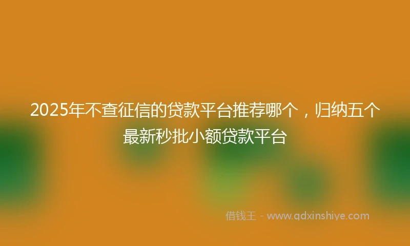 2025年不查征信的贷款平台推荐哪个，归纳五个最新秒批小额贷款平台