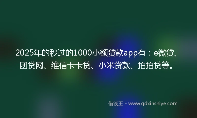 2025年的秒过的1000小额贷款app有：e微贷、团贷网、维信卡卡贷、小米贷款、拍拍贷等。