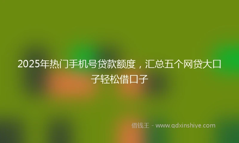 2025年热门手机号贷款额度，汇总五个网贷大口子轻松借口子