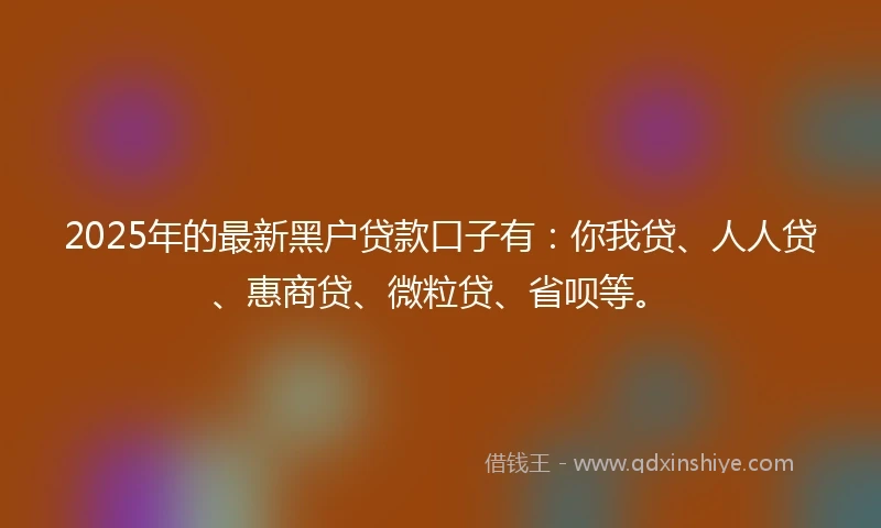 2025年的最新黑户贷款口子有：你我贷、人人贷、惠商贷、微粒贷、省呗等。