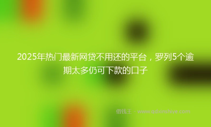 2025年热门最新网贷不用还的平台，罗列5个逾期太多仍可下款的口子