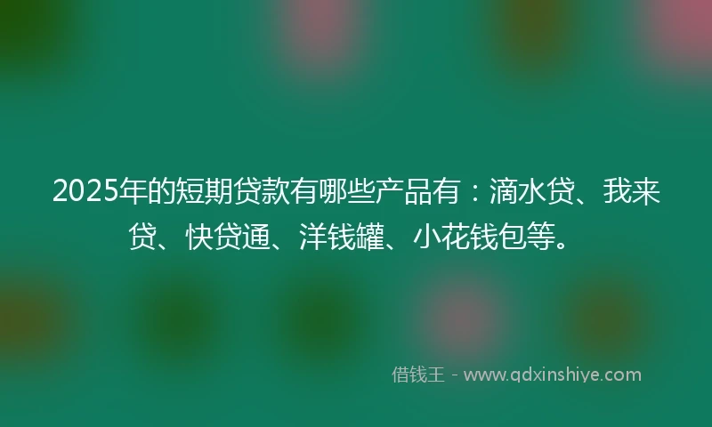 2025年的短期贷款有哪些产品有：滴水贷、我来贷、快贷通、洋钱罐、小花钱包等。