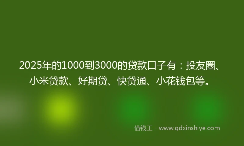 2025年的1000到3000的贷款口子有：投友圈、小米贷款、好期贷、快贷通、小花钱包等。