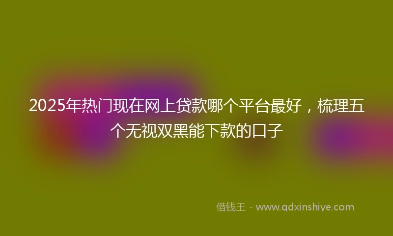 2025年热门现在网上贷款哪个平台最好，梳理五个无视双黑能下款的口子
