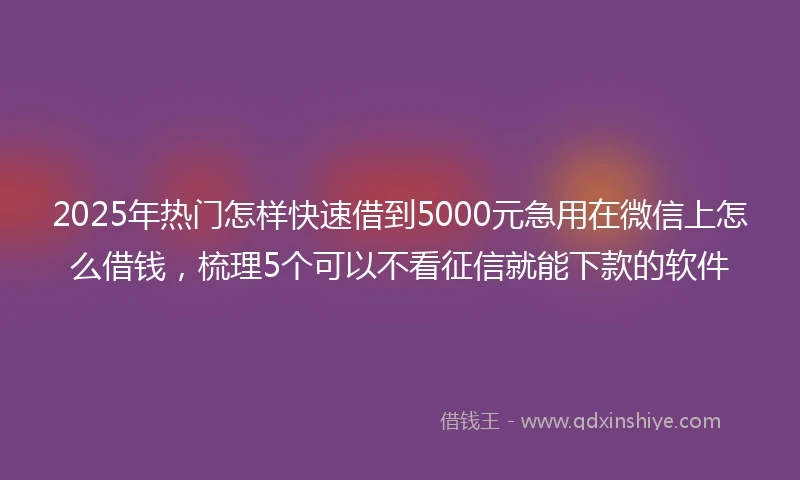 2025年热门怎样快速借到5000元急用在微信上怎么借钱，梳理5个可以不看征信就能下款的软件