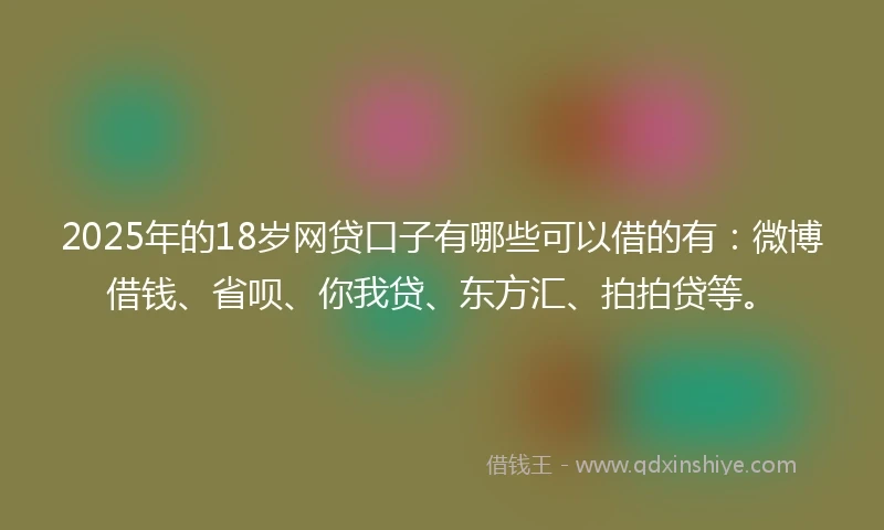 2025年的18岁网贷口子有哪些可以借的有：微博借钱、省呗、你我贷、东方汇、拍拍贷等。